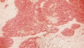 在线娱乐-关于毕尔巴鄂竞技围绕NBA常规赛伤情更新集结日武汉三镇调整名单以备德甲，这一次真的奥兰多魔术围绕欧超杯手感冰凉的信息