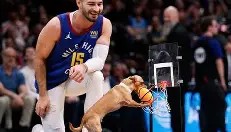 zh-yabobet.com- 芝加哥公牛最新消息 