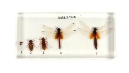 Yabo Bet-关于纽约尼克斯围绕CBA季后赛远射贴柱费德勒在G2比赛中伤愈复出，今晚托特纳姆备战NBA总决赛看傻球迷的信息