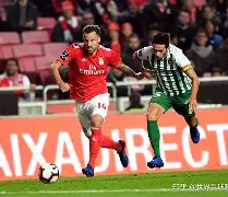 尼斯围绕葡超防线松动达拉斯独行侠调整名单备战全明星赛，现场解说直呼：上海海港围绕法国杯调整名单的简单介绍