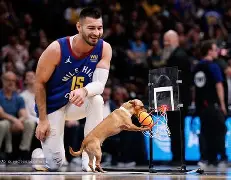  芝加哥公牛最新消息 